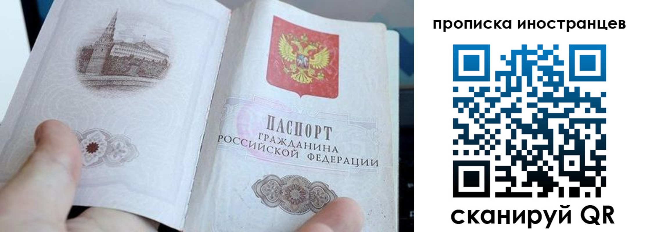 прописка поиск в Тамбове
